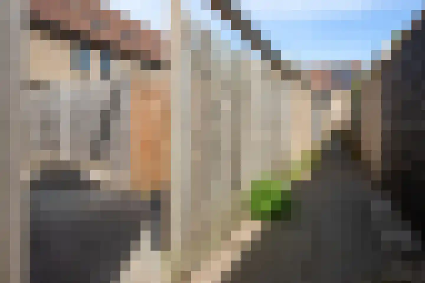 Kameraarslag 36 Gouda thumbnail 53