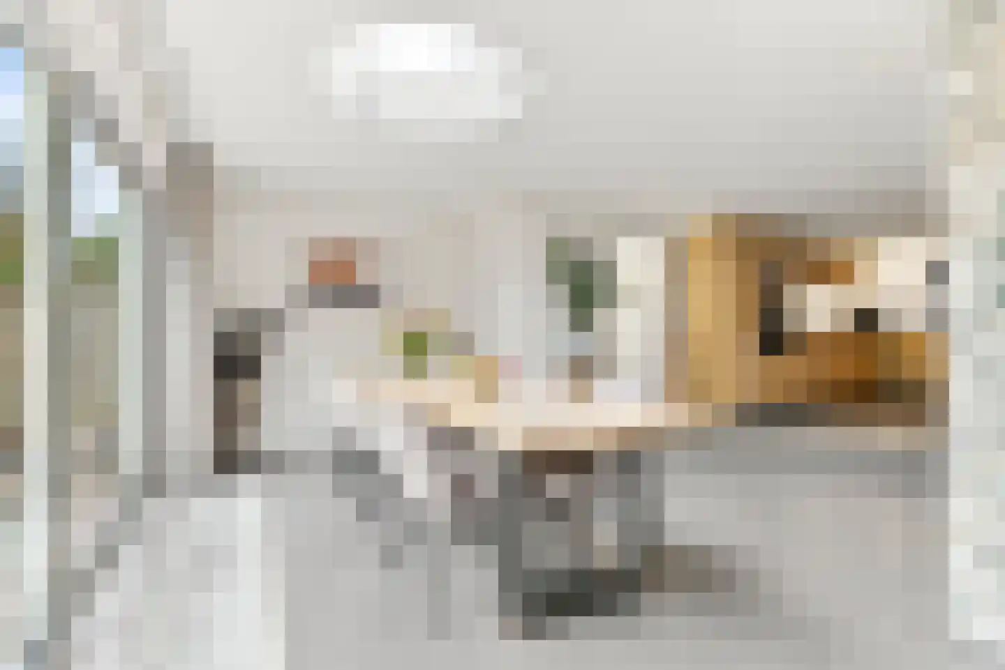 Kameraarsweide 1 Nieuwegein thumbnail 11