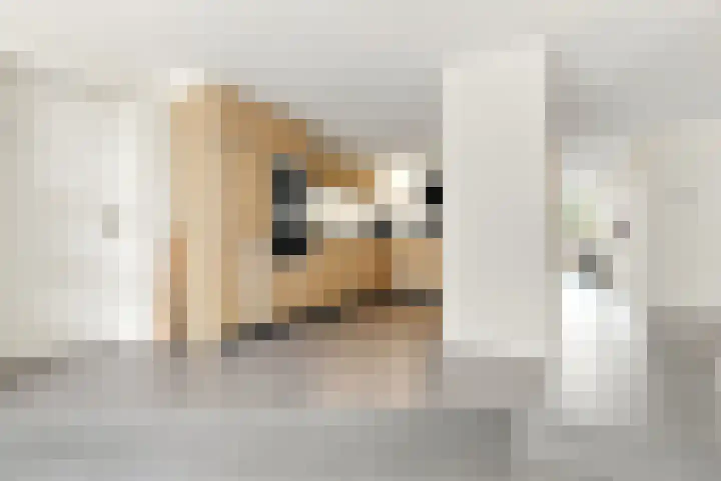 Kameraarsweide 1 Nieuwegein thumbnail 12