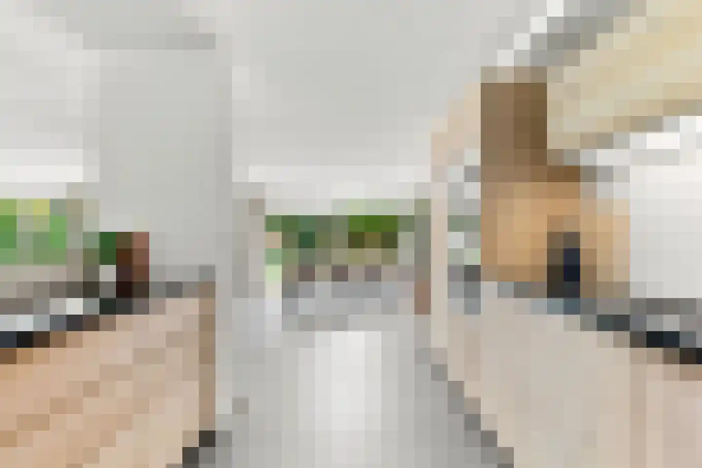 Kameraarsweide 1 Nieuwegein thumbnail 13