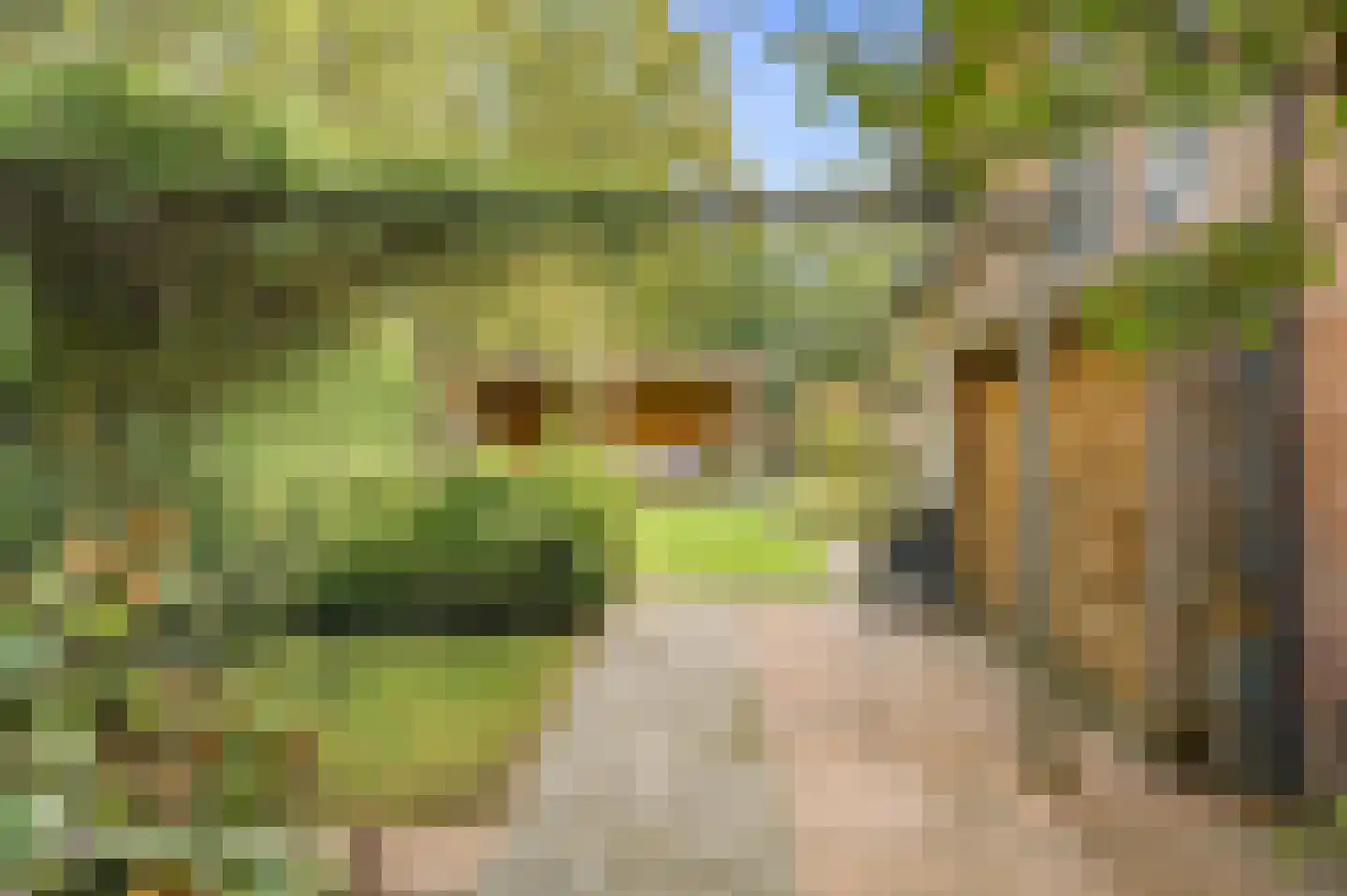 Kameraarsweide 1 Nieuwegein thumbnail 21