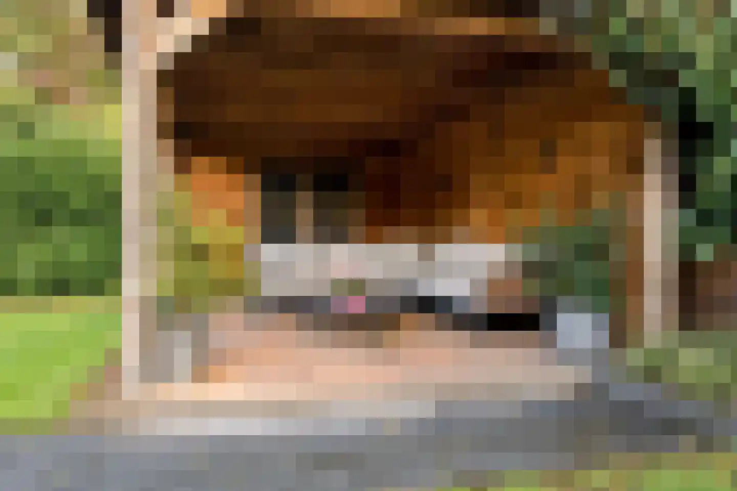 Kameraarsweide 1 Nieuwegein thumbnail 24