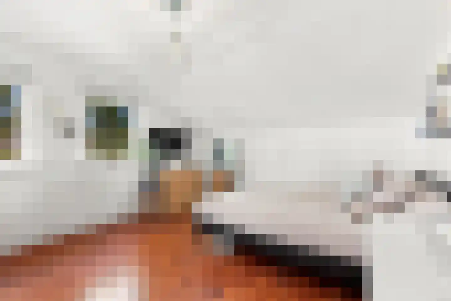 Kameraarsweide 1 Nieuwegein thumbnail 35