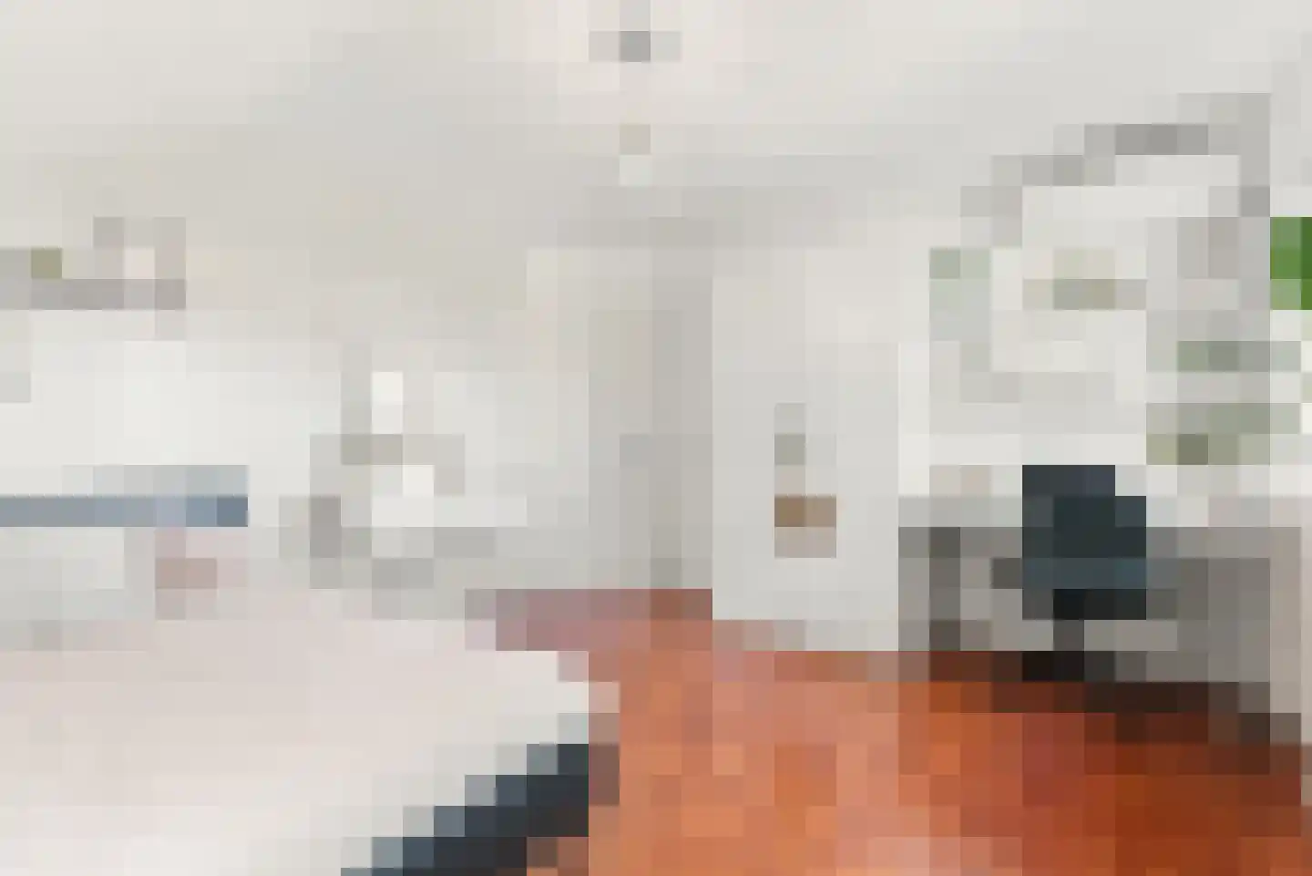 Kameraarsweide 1 Nieuwegein thumbnail 36