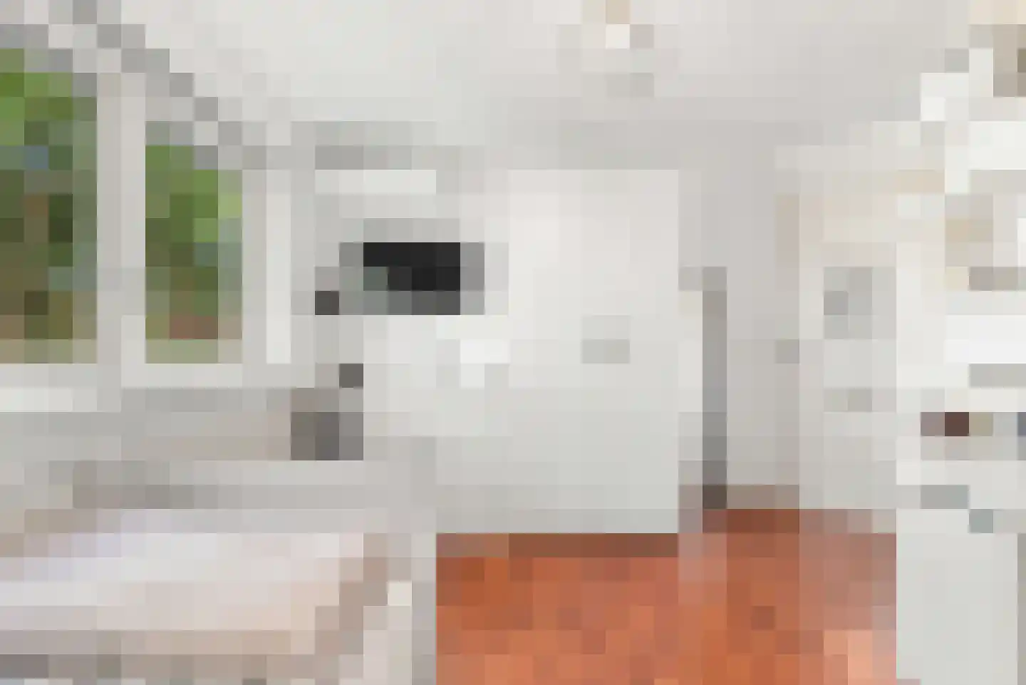 Kameraarsweide 1 Nieuwegein thumbnail 38