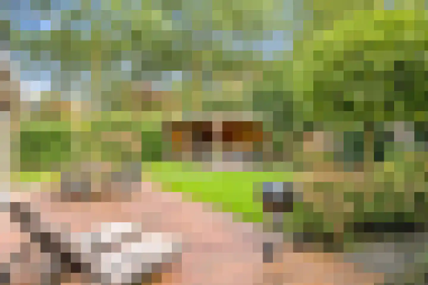 Kameraarsweide 1 Nieuwegein thumbnail 4