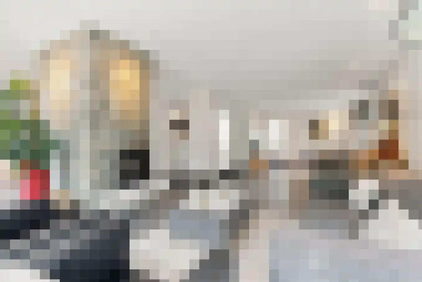 Kameraarsweide 1 Nieuwegein thumbnail 5