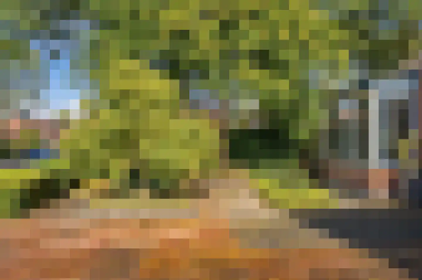 Kameraarsweide 1 Nieuwegein thumbnail 53