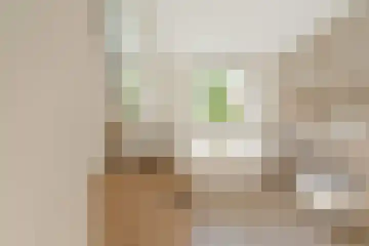 Kamerdalseberg 12 Amersfoort thumbnail 21