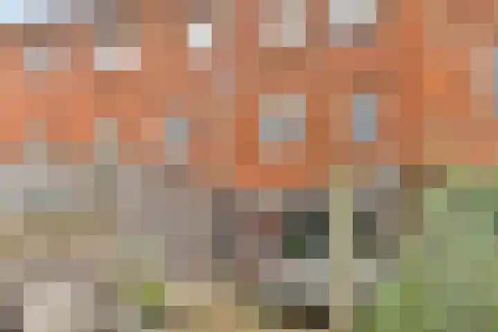 Kamerdalseberg 50 Amersfoort thumbnail 41