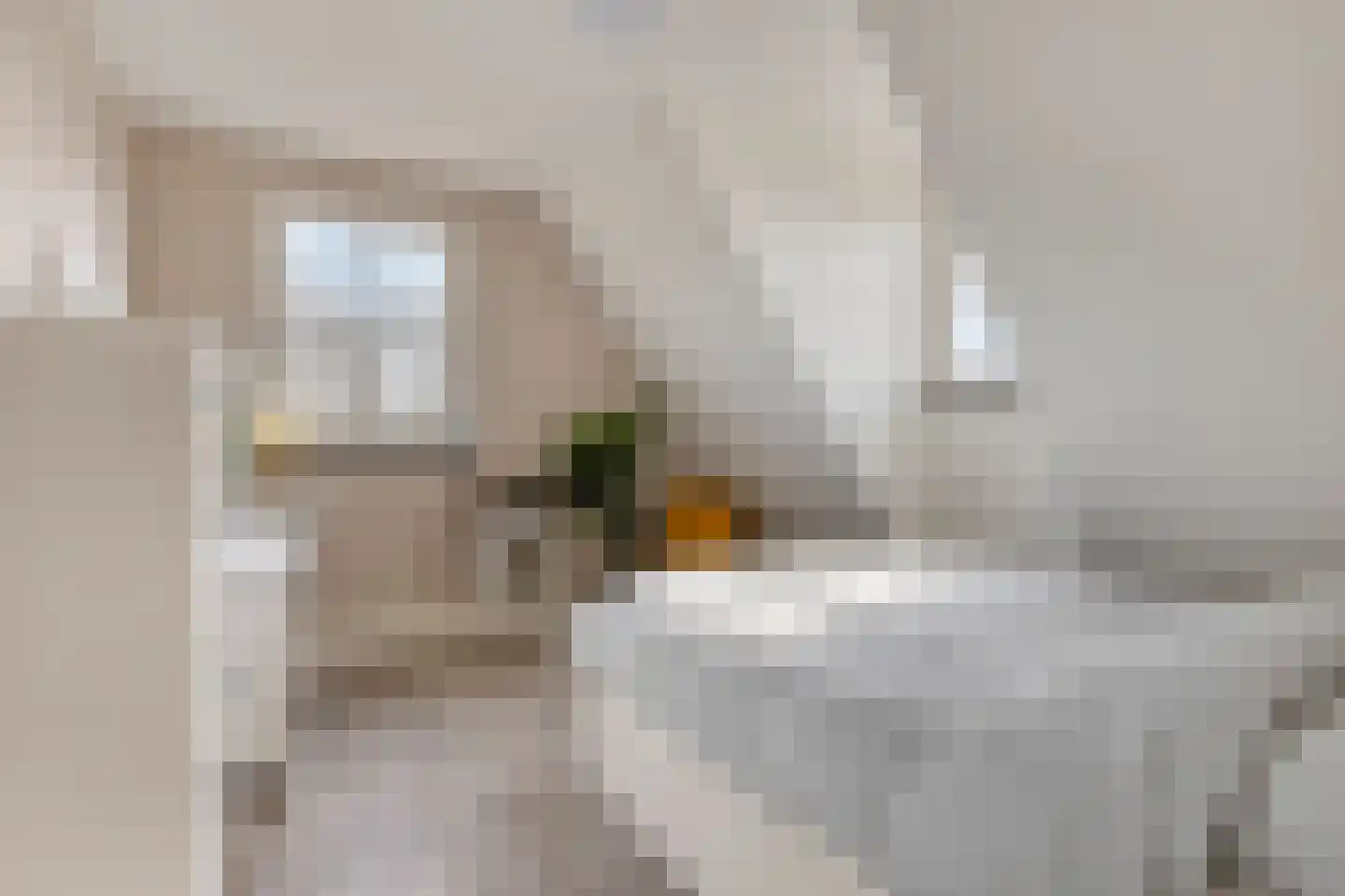 Kameren 1 b Heeswijk-Dinther thumbnail 42