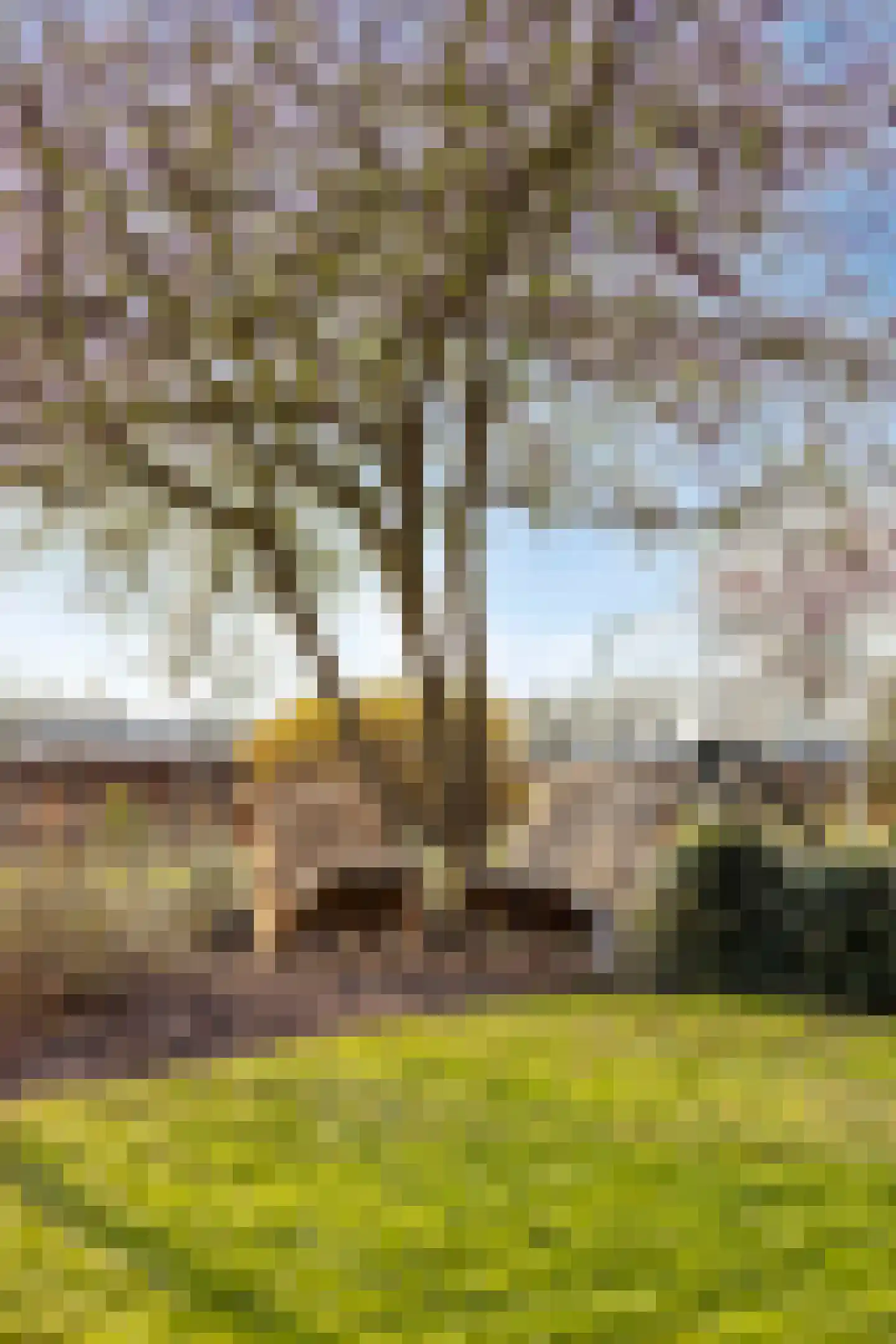 Kameren 1 b Heeswijk-Dinther thumbnail 70