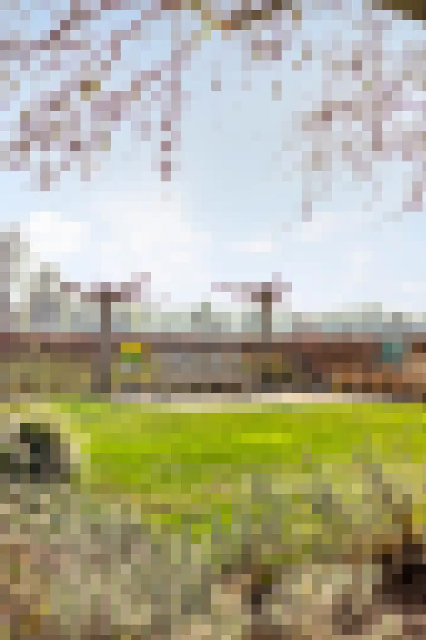 Kameren 1 b Heeswijk-Dinther thumbnail 71