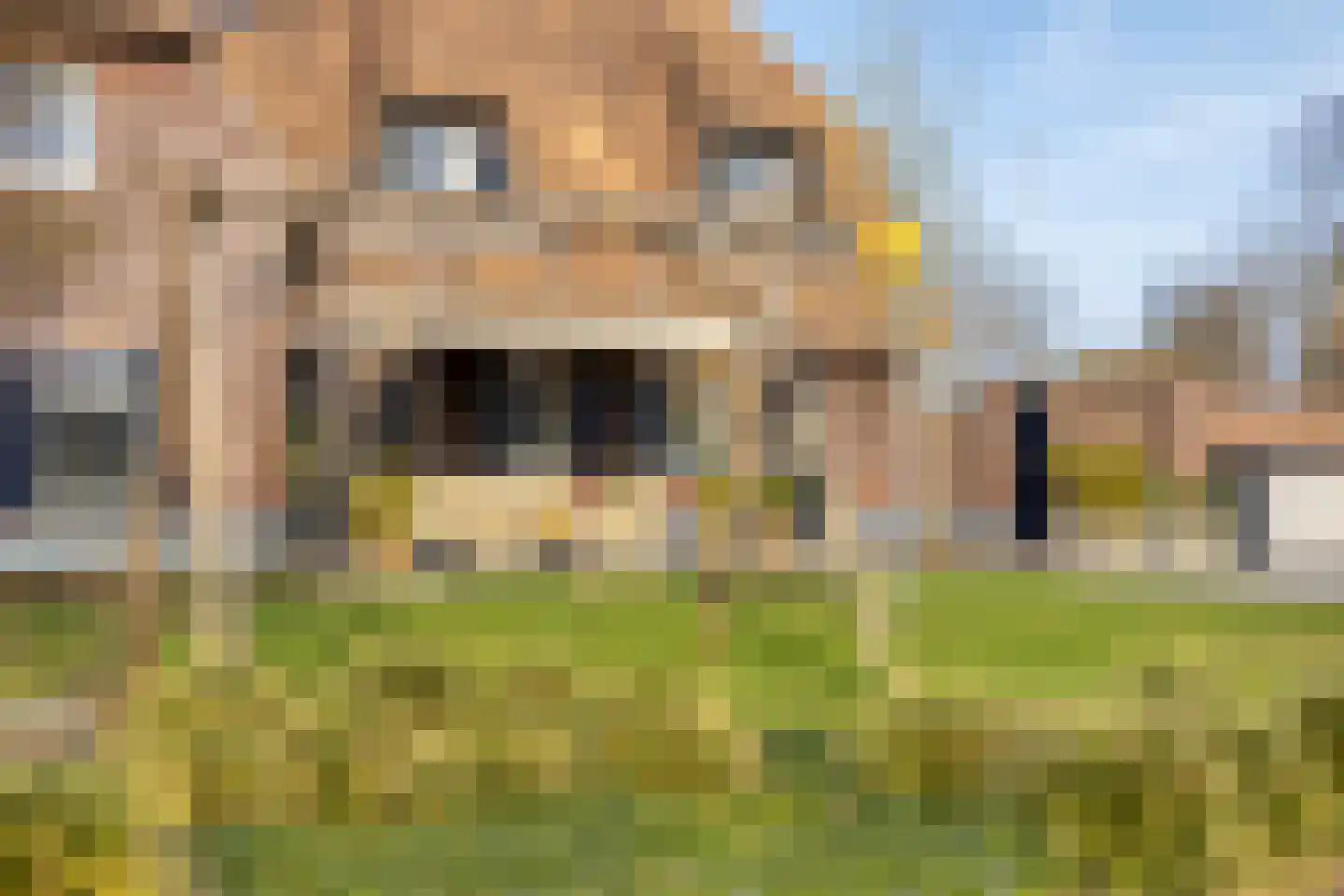 Kameren 1 b Heeswijk-Dinther thumbnail 72