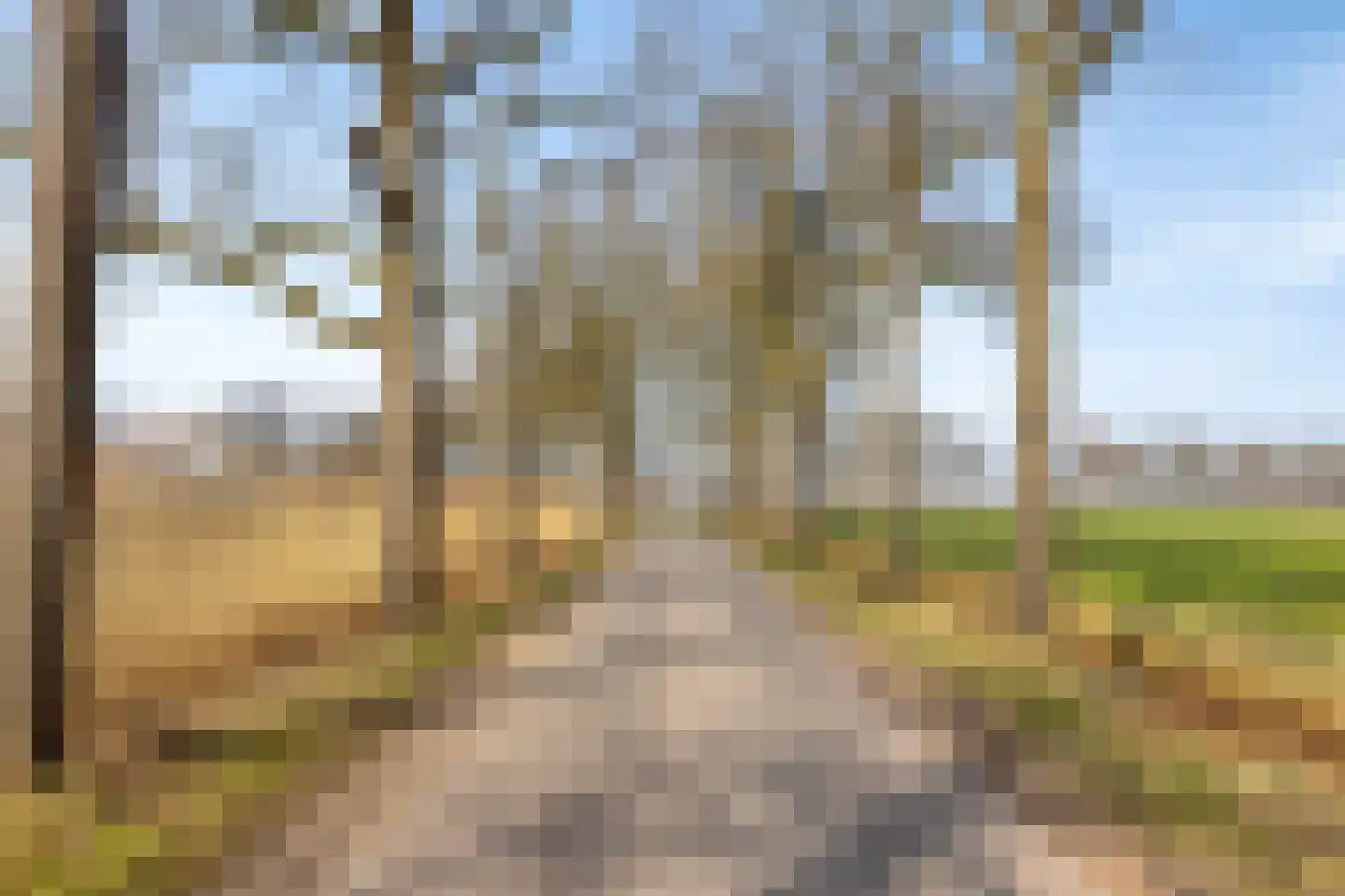 Kameren 1 b Heeswijk-Dinther thumbnail 78