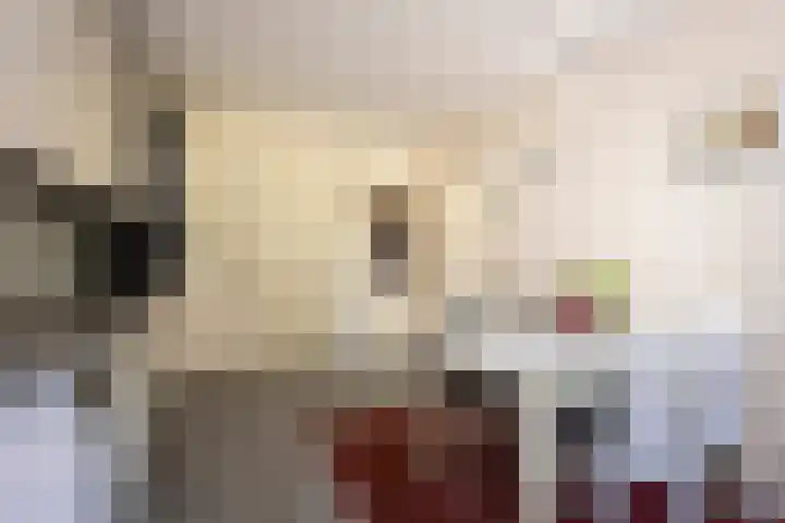 Kamerikstraat 1 a Tilburg thumbnail 16