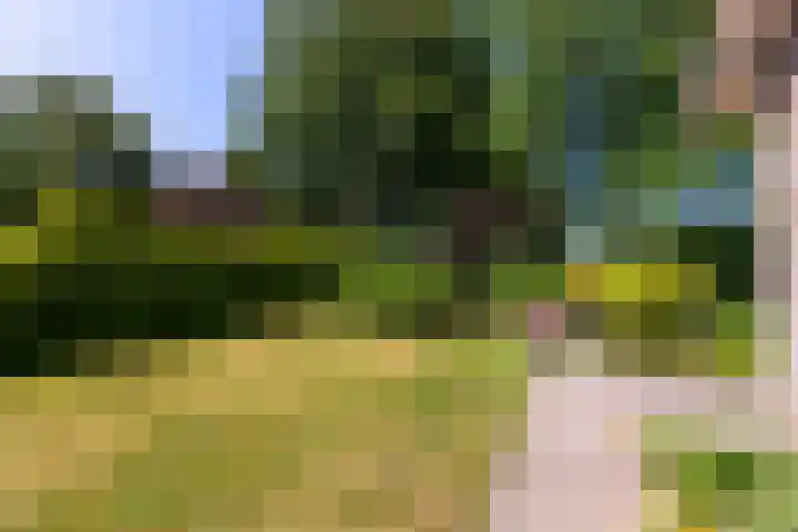 Kamerikstraat 1 a Tilburg thumbnail 38