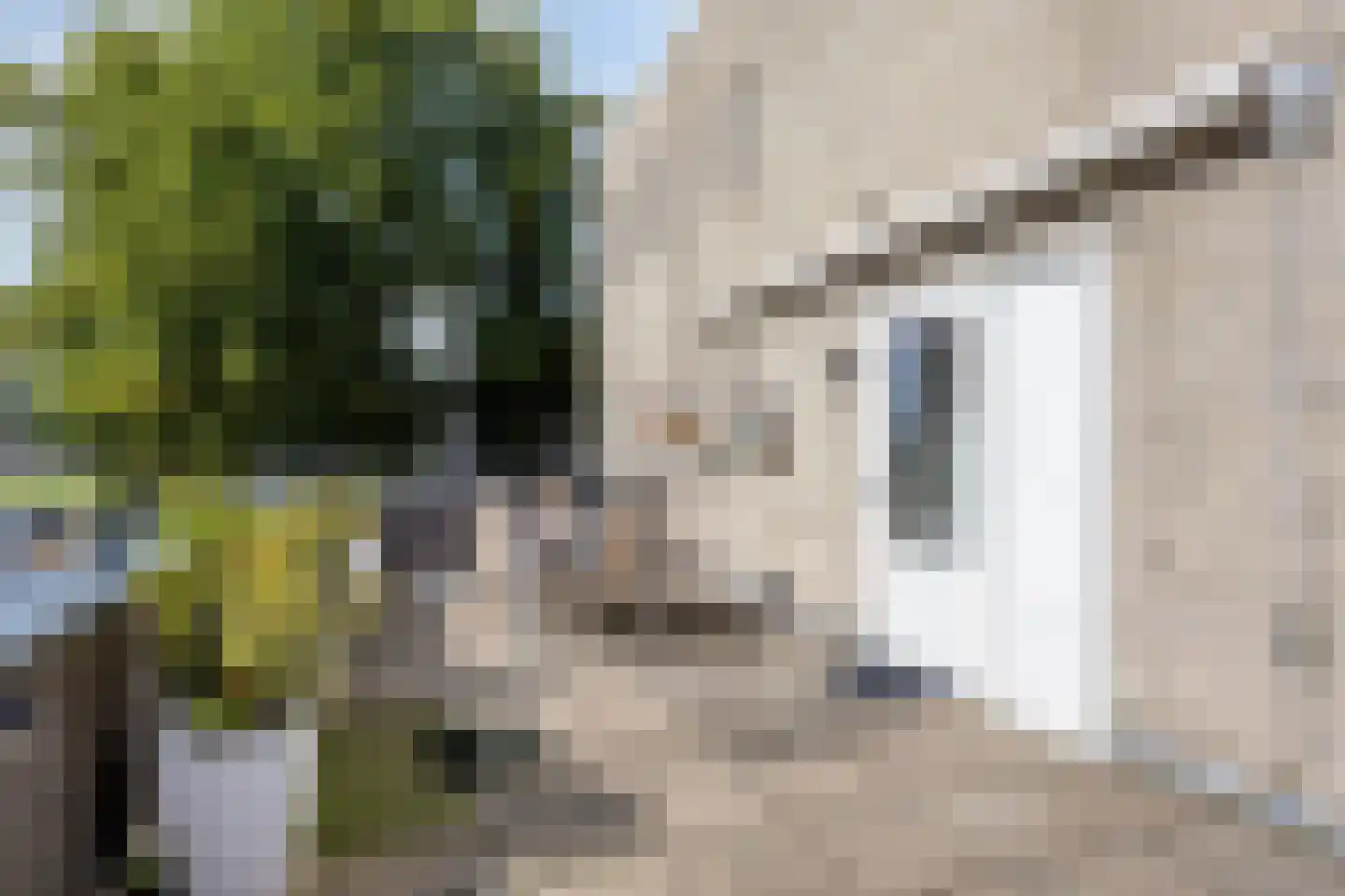 Kamerikstraat 36 Tilburg thumbnail 20