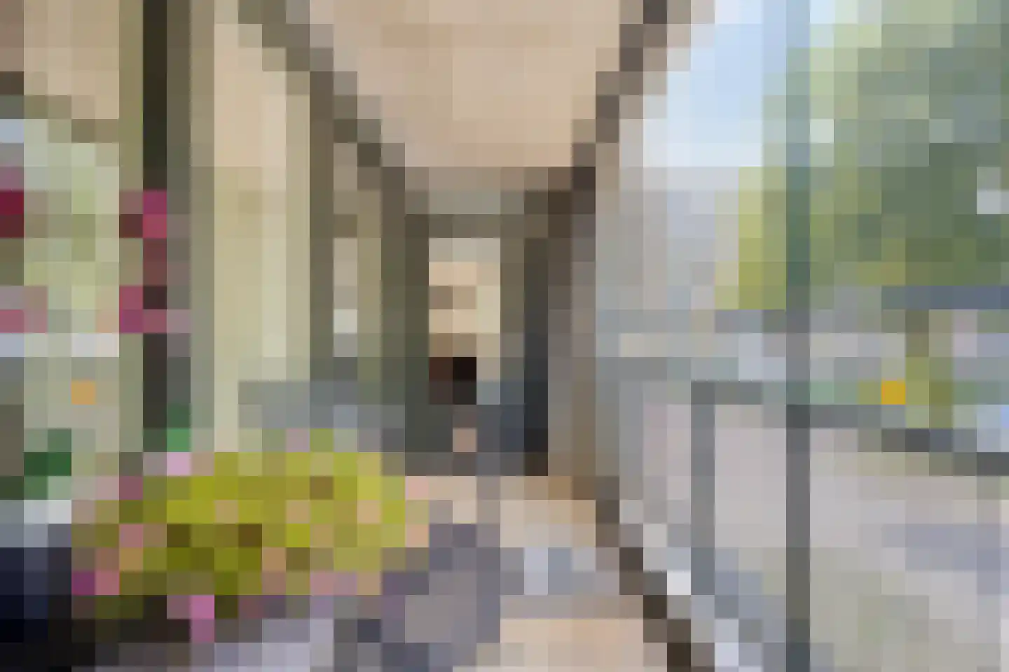 Kamerikstraat 36 Tilburg thumbnail 24