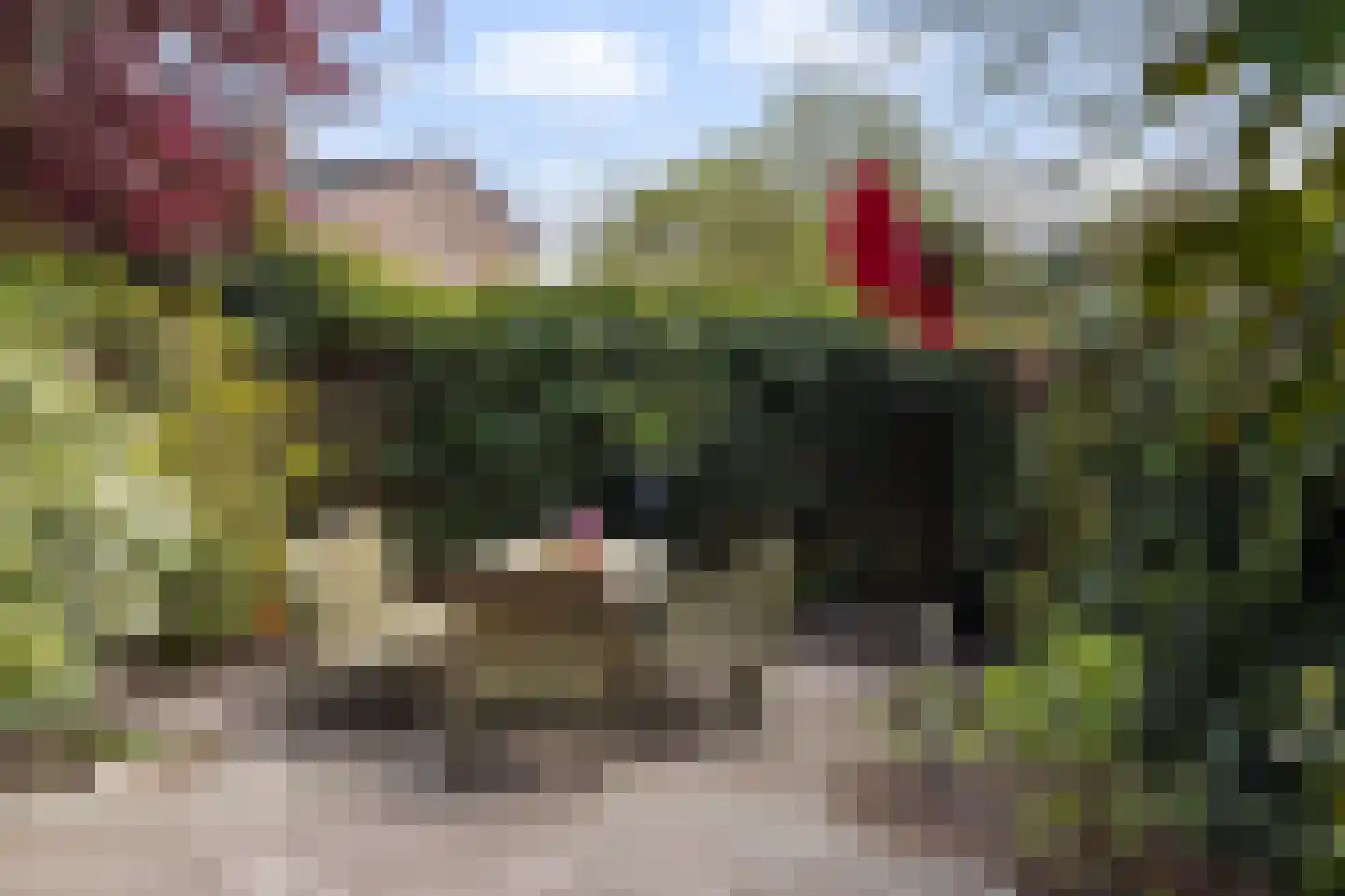 Kamerlingh Onnesdreef 13 Maassluis thumbnail 26