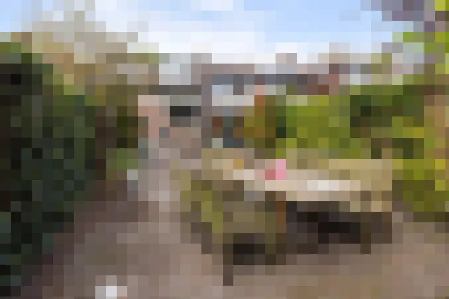 Kamerlingh Onnesdreef 13 Maassluis thumbnail 27