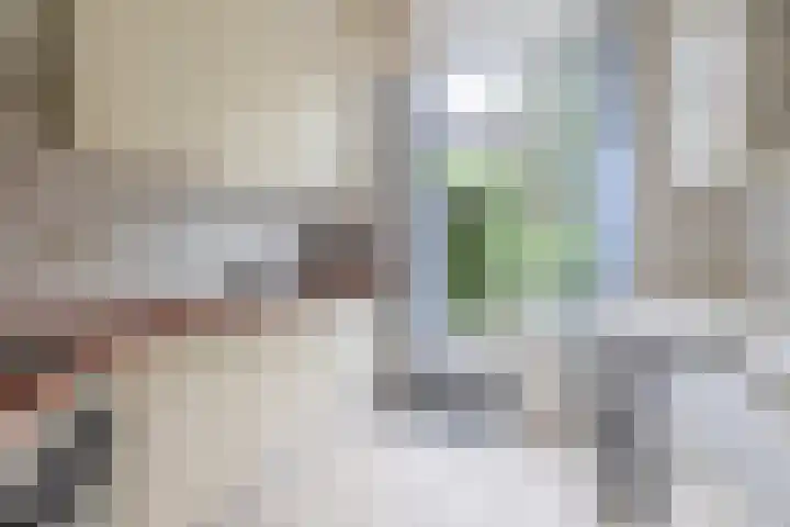 Kamerlingh Onnesdreef 13 Schoonhoven thumbnail 11