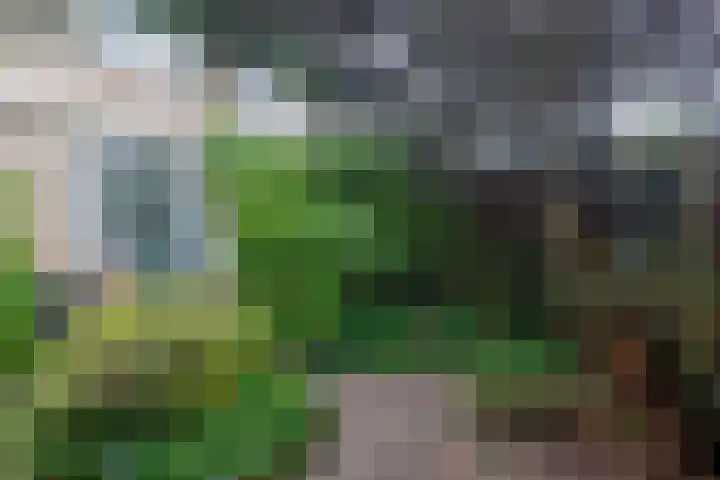 Kamerlingh Onnesdreef 13 Schoonhoven thumbnail 14