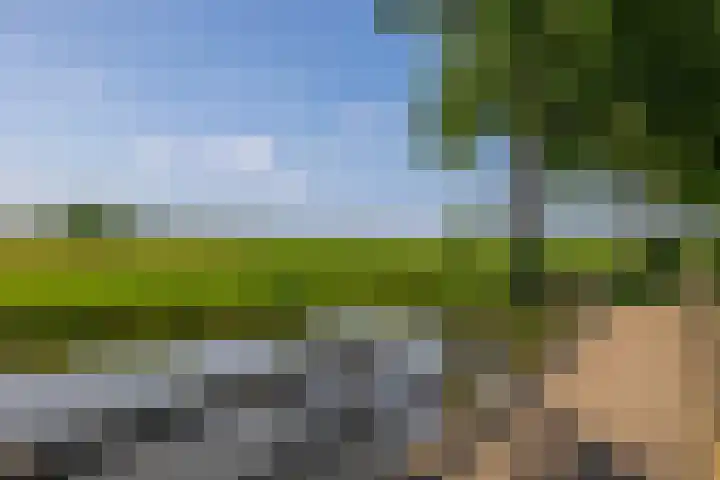 Kamerlingh Onnesdreef 13 Schoonhoven thumbnail 26