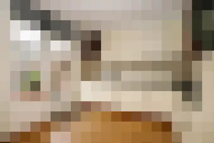 Kamerlingh Onnesdreef 19 Schoonhoven thumbnail 15