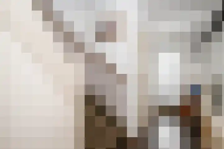 Kamerlingh Onnesdreef 19 Schoonhoven thumbnail 16