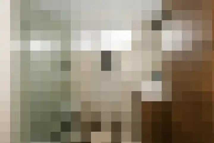 Kamerlingh Onnesdreef 19 Schoonhoven thumbnail 21