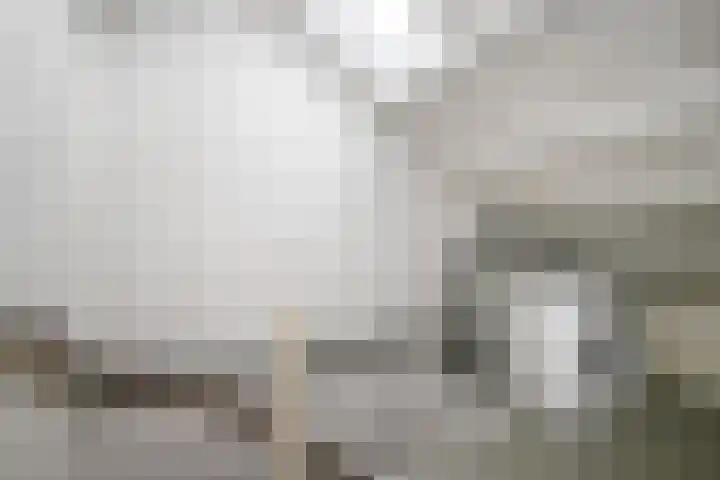 Kamerlingh Onnesdreef 19 Schoonhoven thumbnail 22