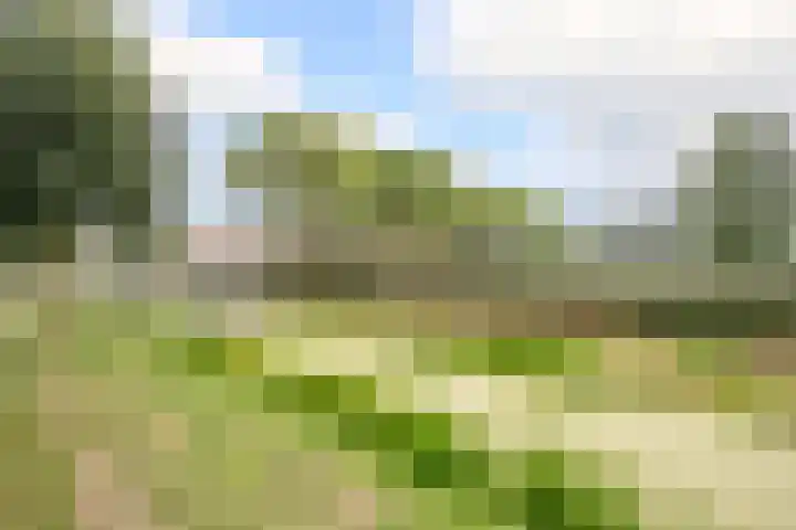 Kamerlingh Onnesdreef 19 Schoonhoven thumbnail 29