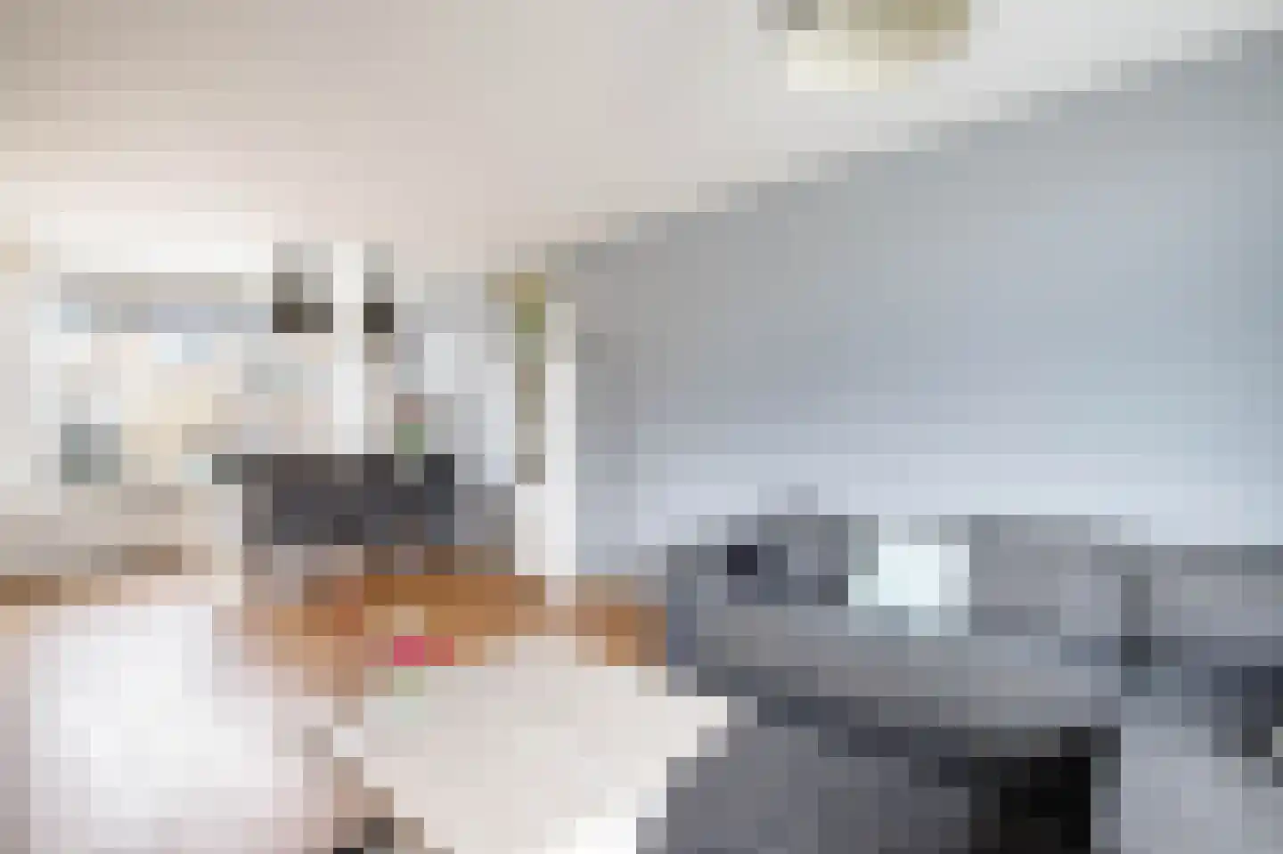 Kamerlingh Onnesdreef 21 Schoonhoven thumbnail 10