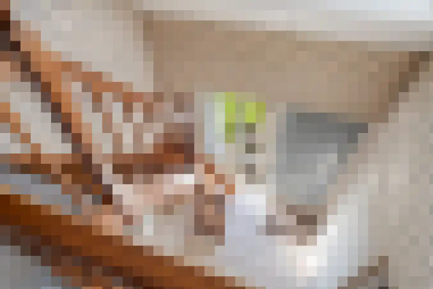 Kamerlingh Onneshof 13 Nijkerk thumbnail 21