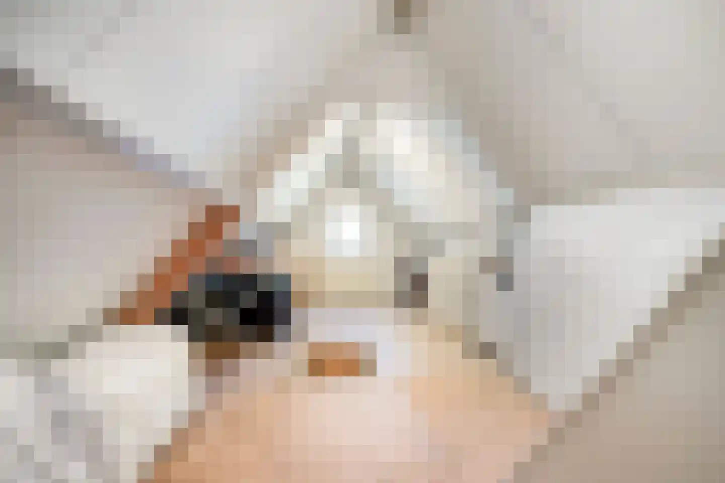 Kamerlingh Onneshof 13 Nijkerk thumbnail 34
