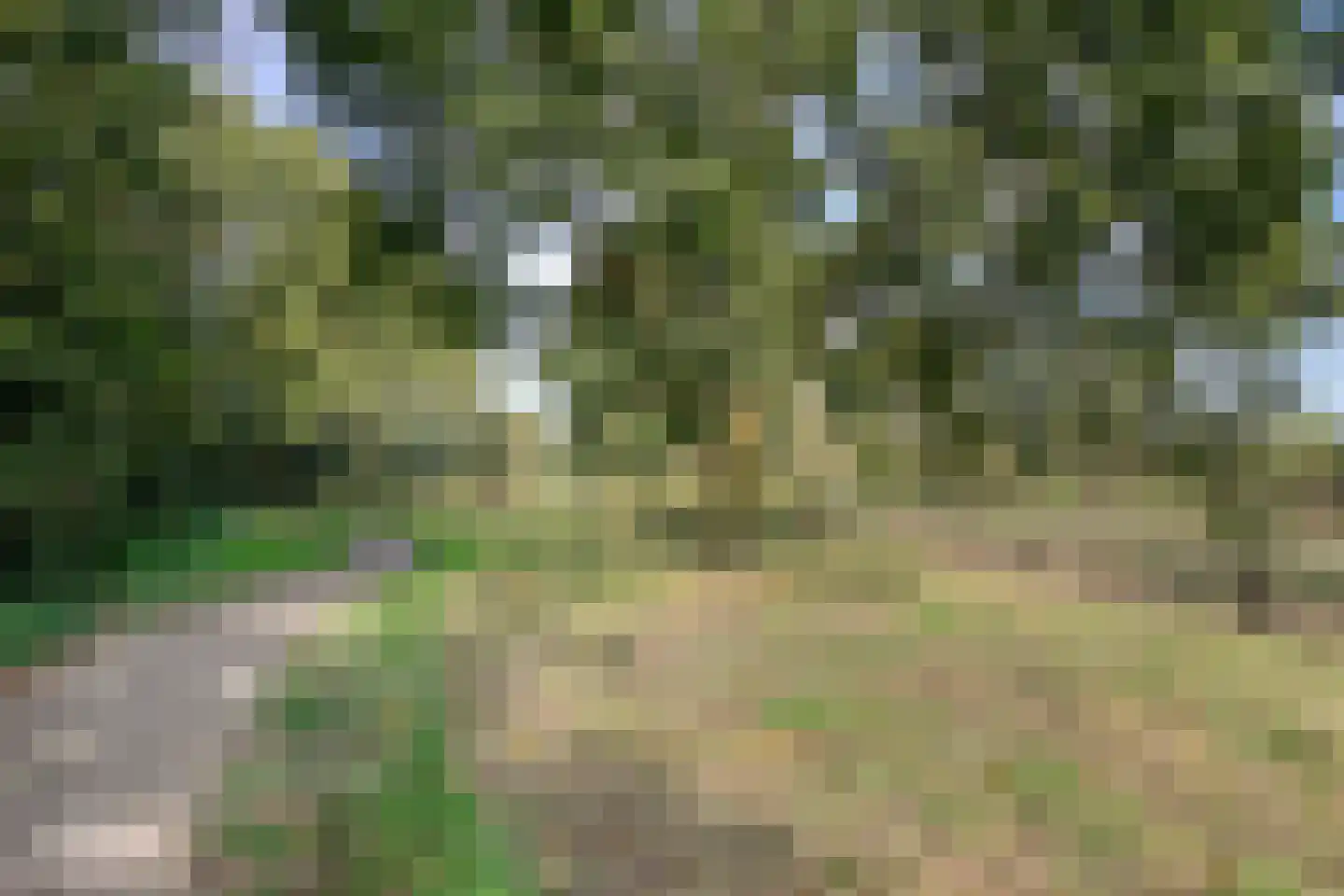 Kamerlingh Onneshof 13 Nijkerk thumbnail 54
