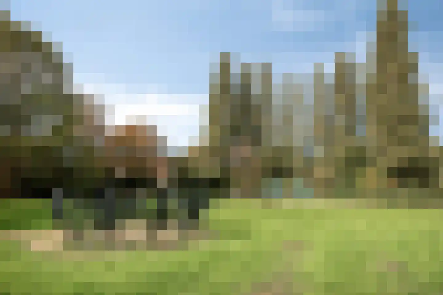 Kamerlingh Onneshof 13 Nijkerk thumbnail 56