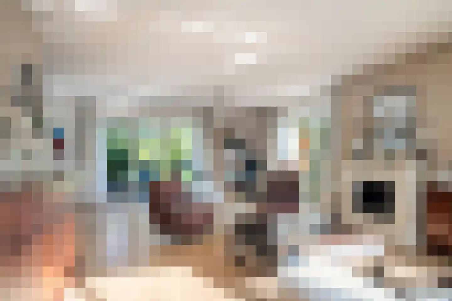 Kamerlingh Onneshof 13 Nijkerk thumbnail 6