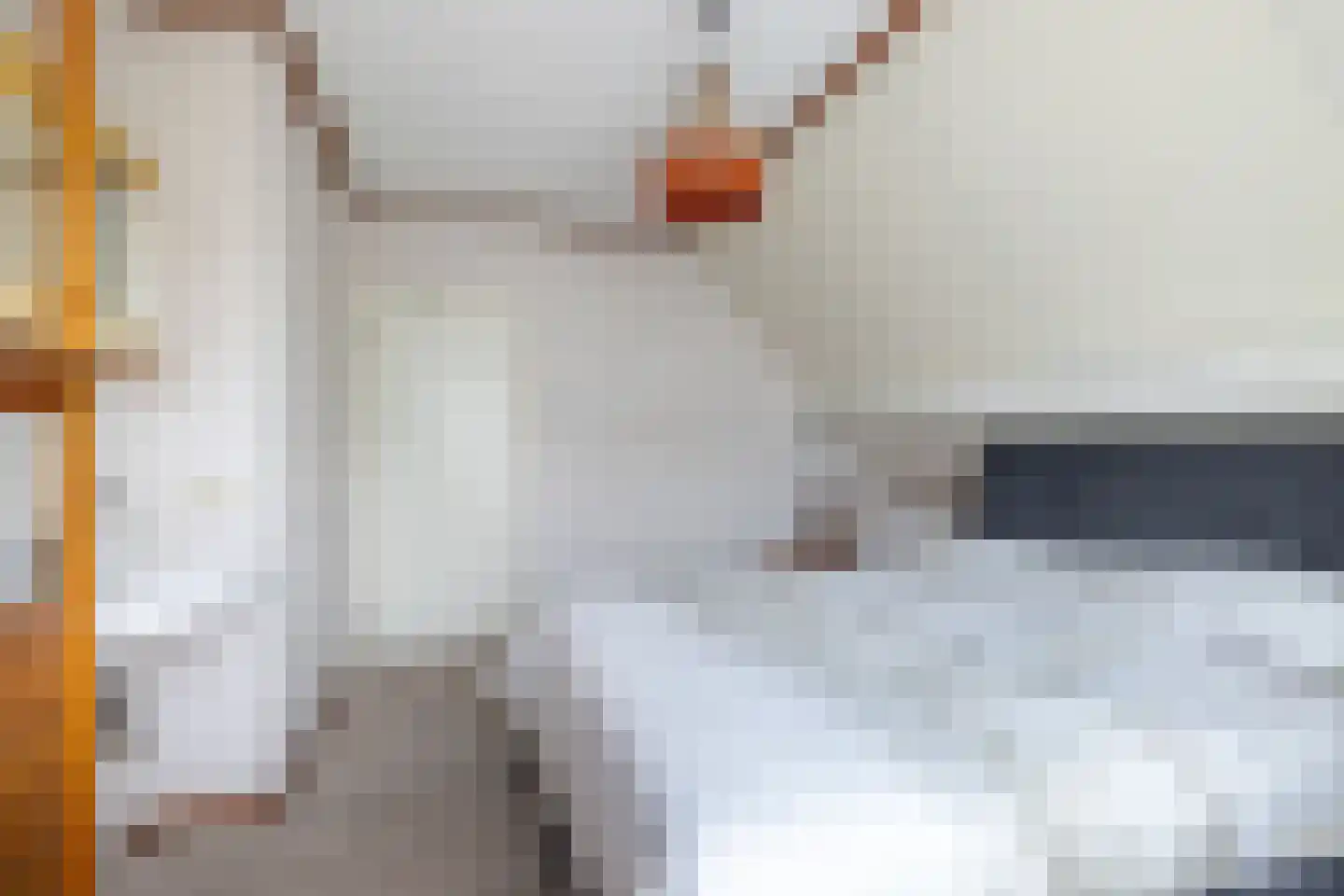 Kamerlingh Onneshof 17 Nijkerk thumbnail 26