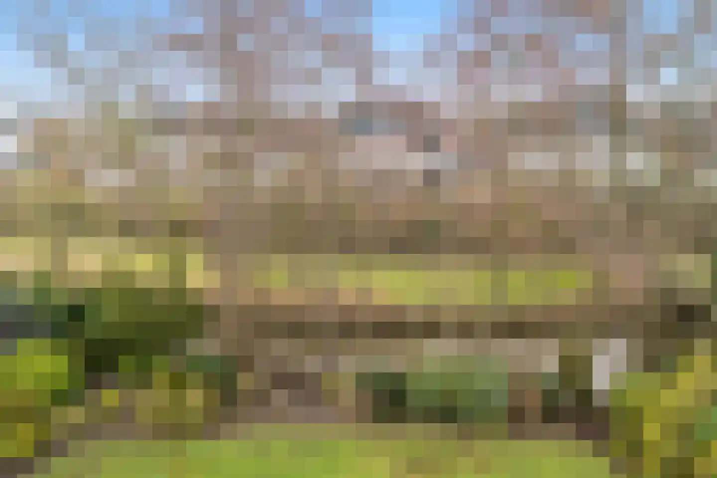 Kamerlingh Onneshof 17 Nijkerk thumbnail 42