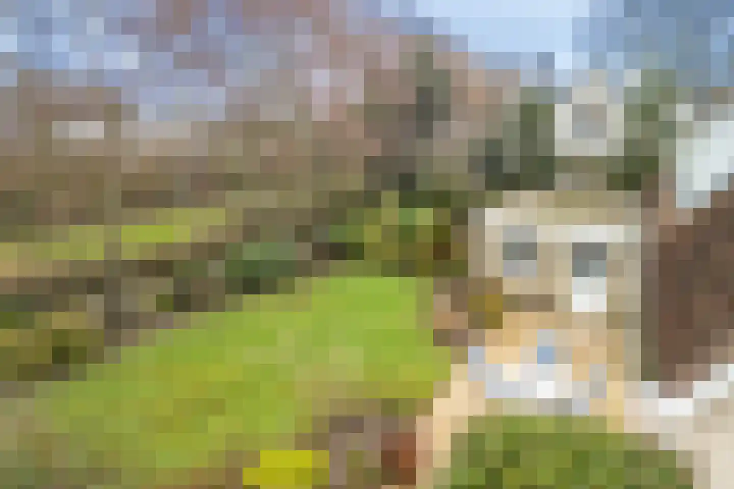 Kamerlingh Onneshof 17 Nijkerk thumbnail 43