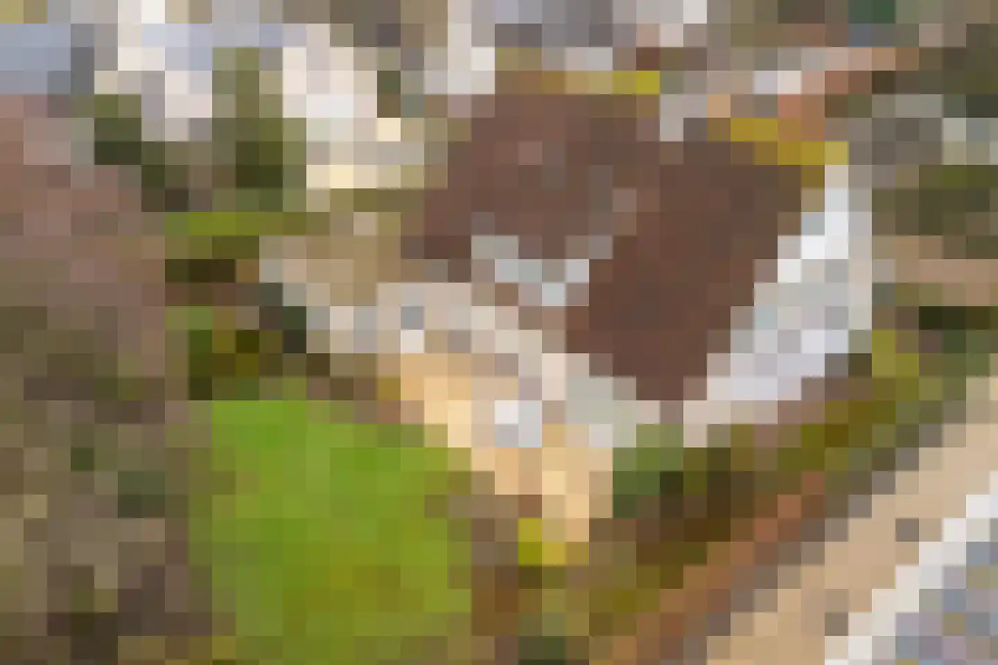 Kamerlingh Onneshof 17 Nijkerk thumbnail 53