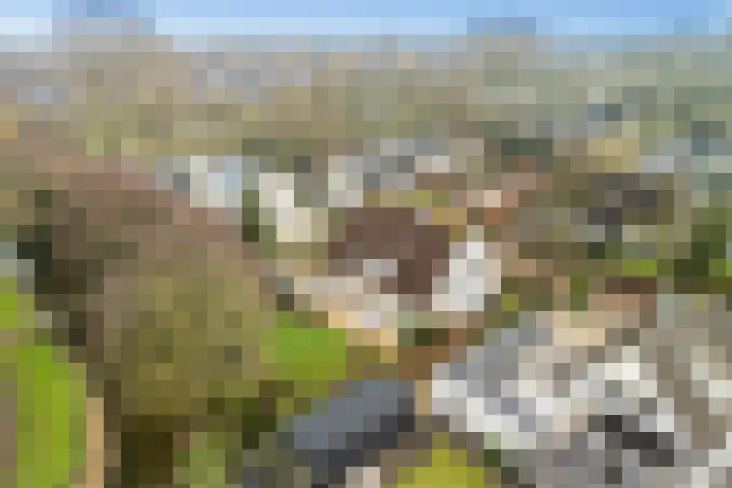 Kamerlingh Onneshof 17 Nijkerk thumbnail 54