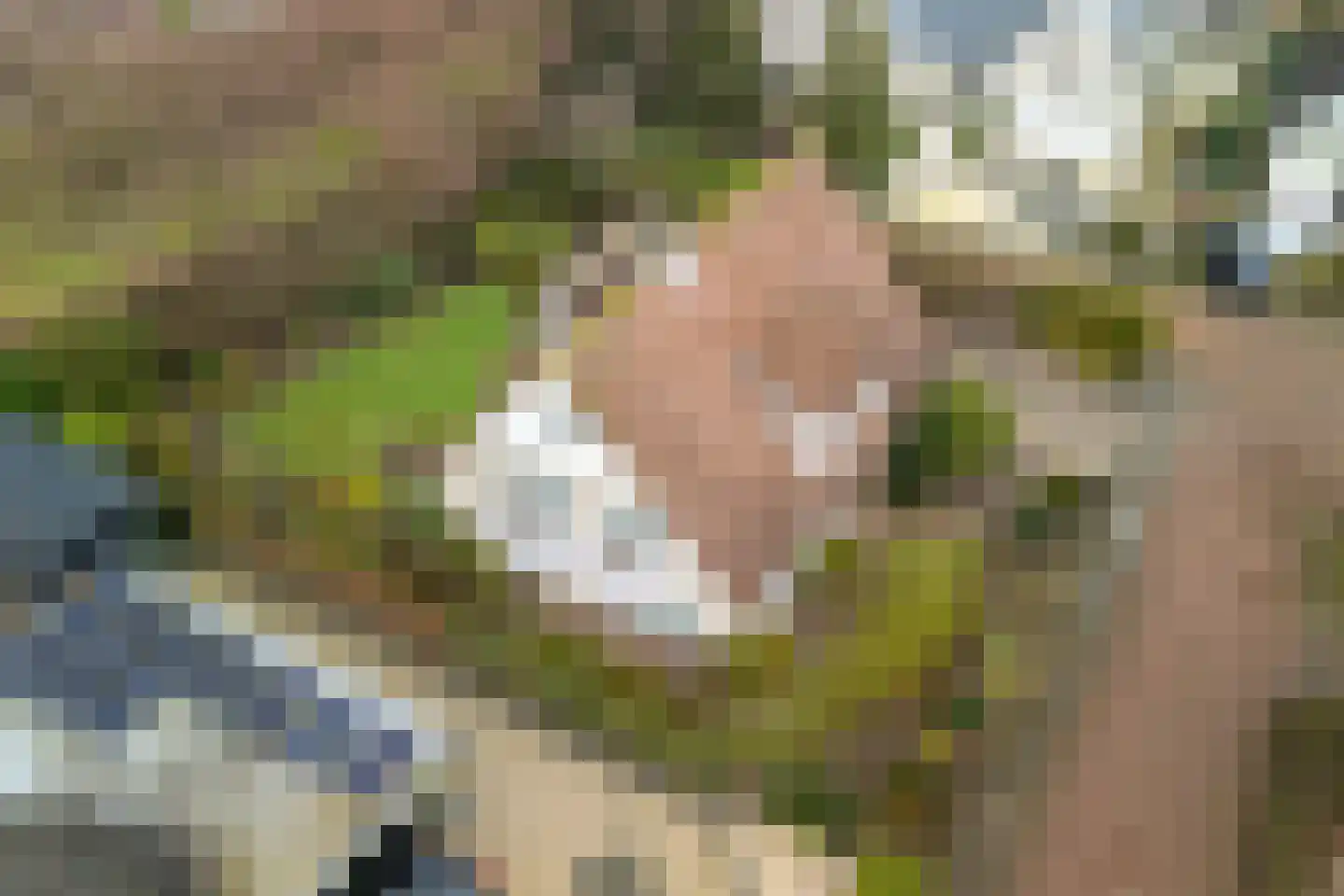 Kamerlingh Onneshof 17 Nijkerk thumbnail 55