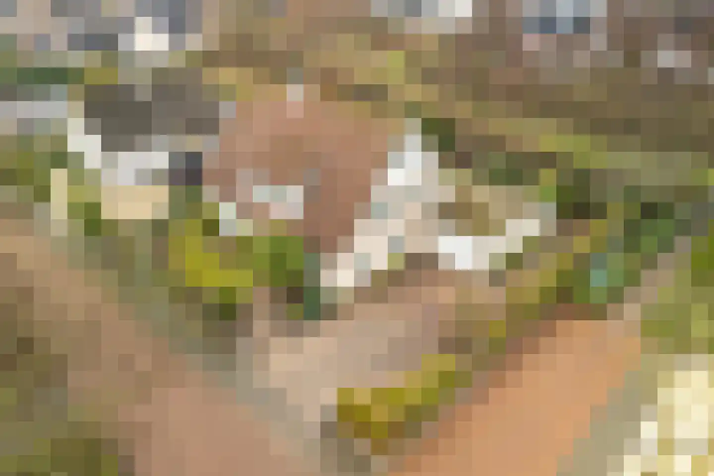 Kamerlingh Onneshof 17 Nijkerk thumbnail 56