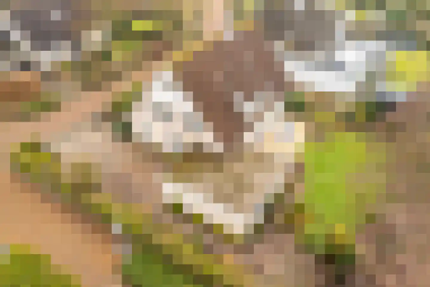 Kamerlingh Onneshof 17 Nijkerk thumbnail 57