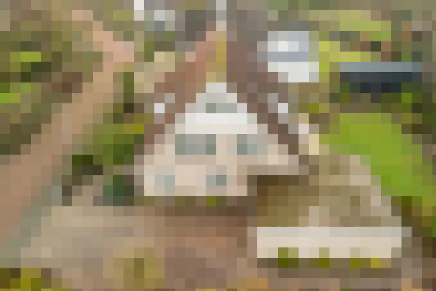 Kamerlingh Onneshof 17 Nijkerk thumbnail 58