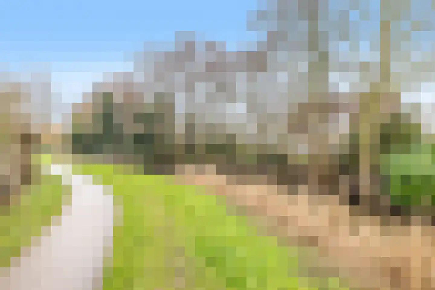 Kamerlingh Onneshof 17 Nijkerk thumbnail 62