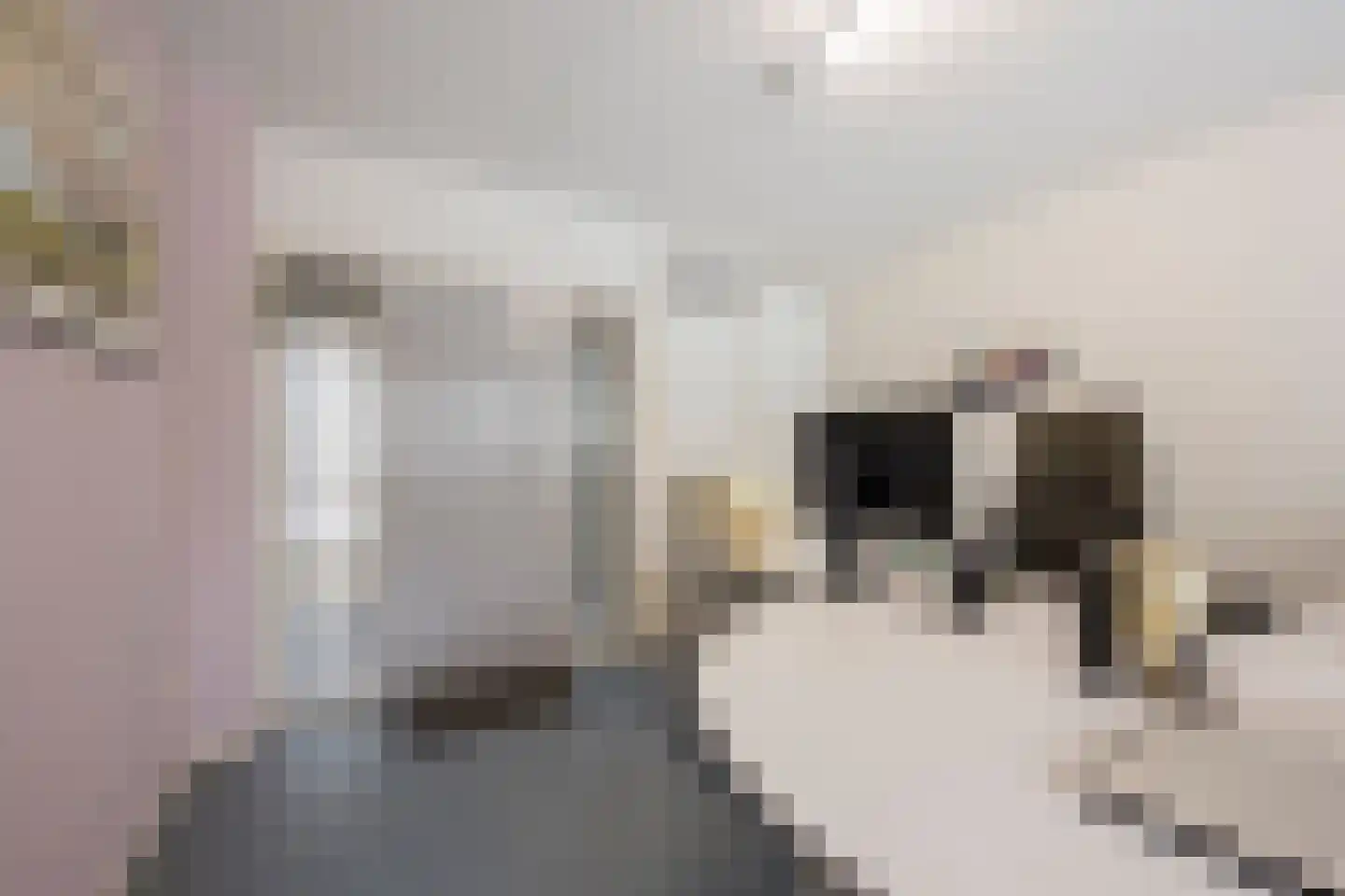 Kamerlingh Onneshof 5 Nijkerk thumbnail 13